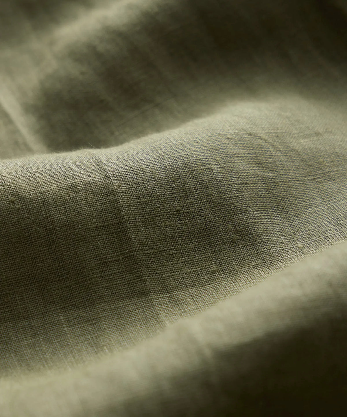 Surplus Olive