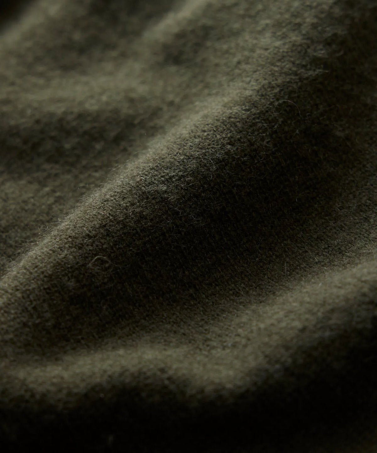 Snyder Olive