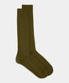 Cilantro