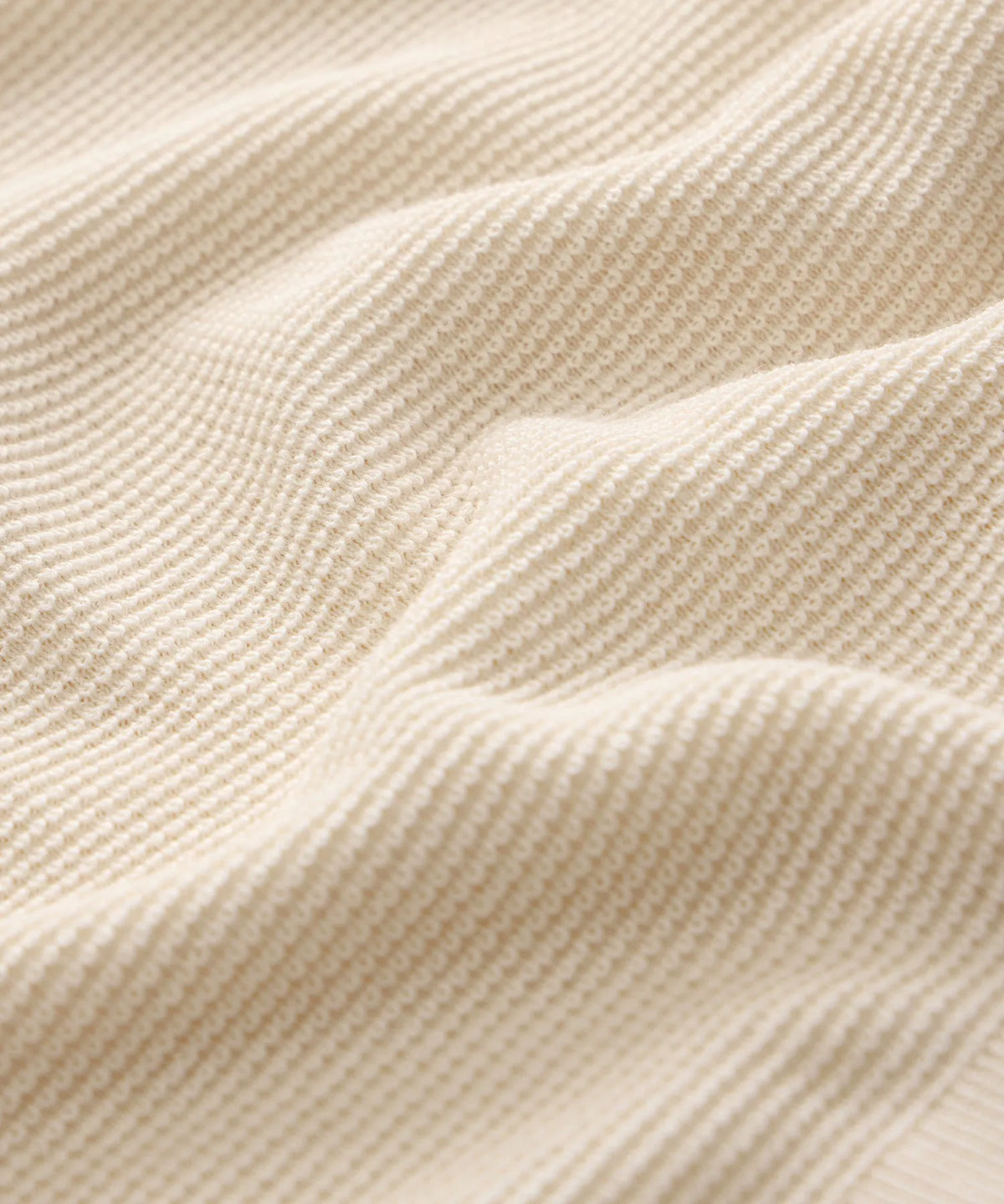 Bisque
