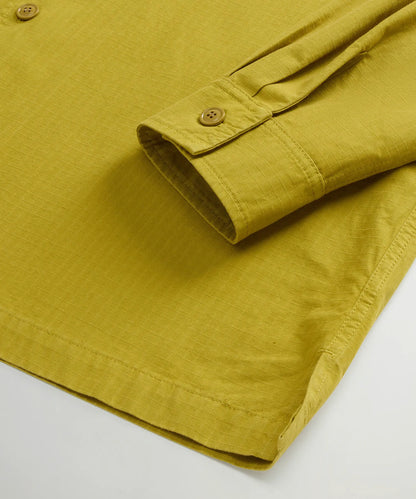 Golden Palm
