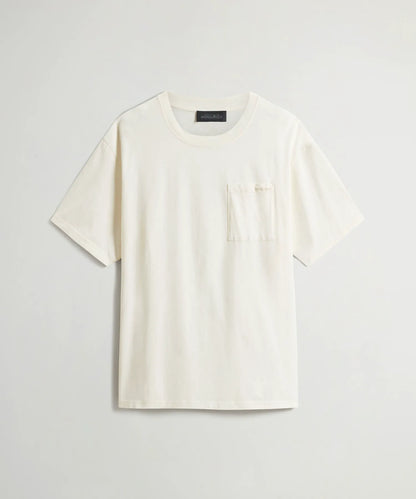 Arctic White