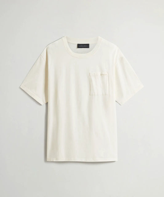 Arctic White