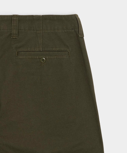 Snyder Olive