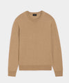 Heather Camel
