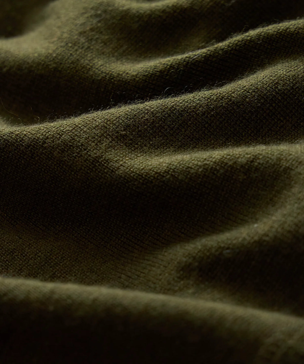Snyder Olive