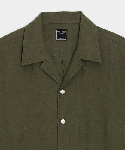 Desert Olive