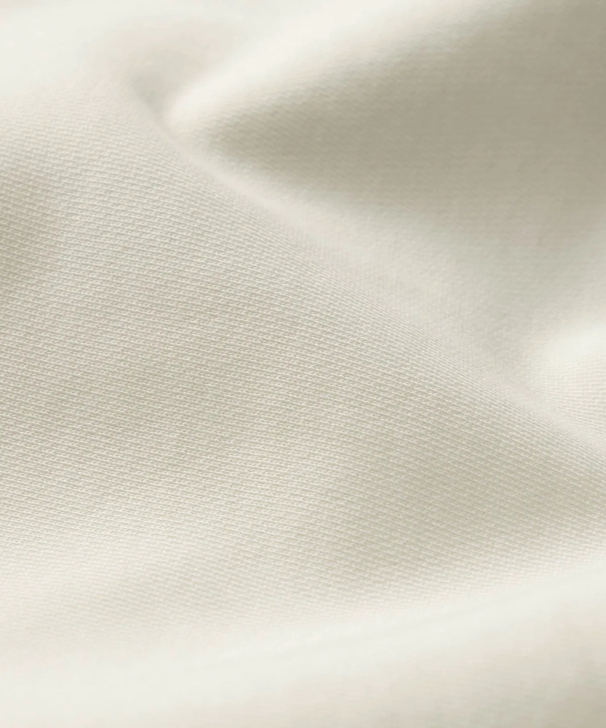 Bisque