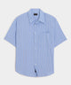 Blue Stripe