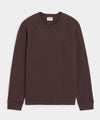 English Brown
