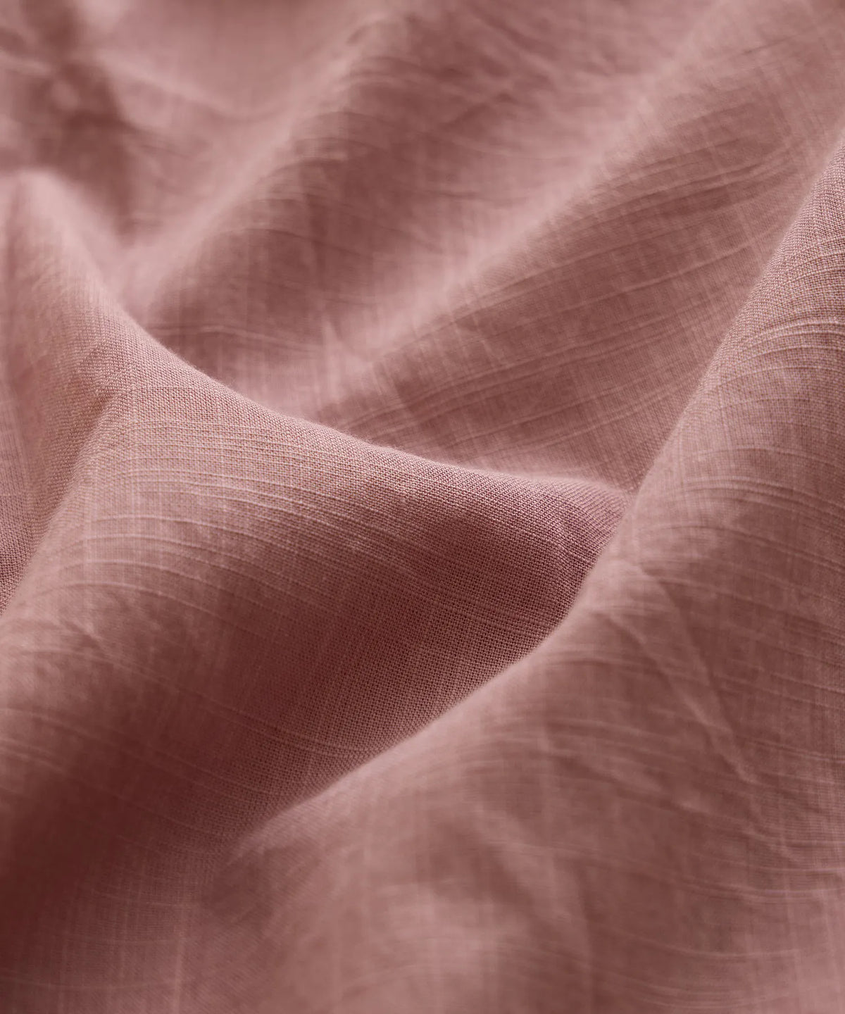 Fading Rose