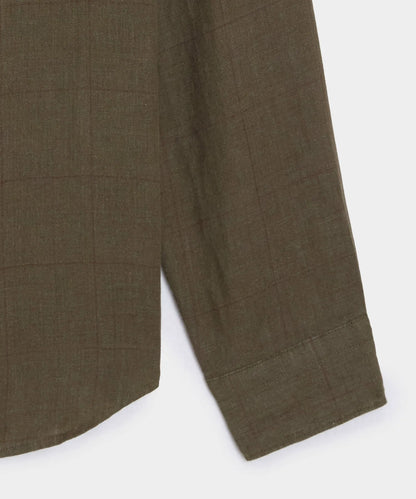 Olive Windowpane