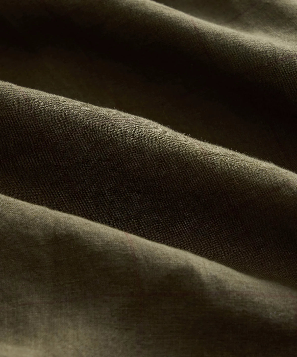 Olive Windowpane