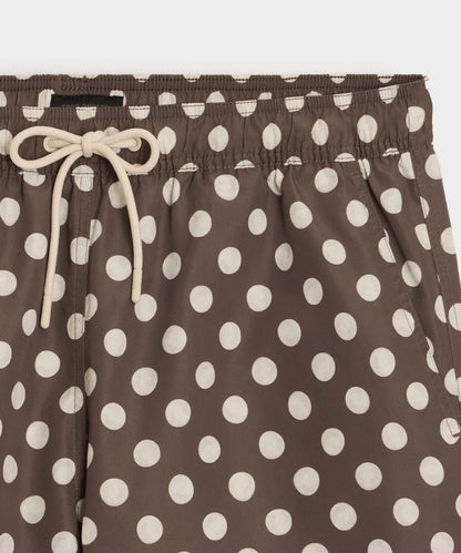 Brown Dot