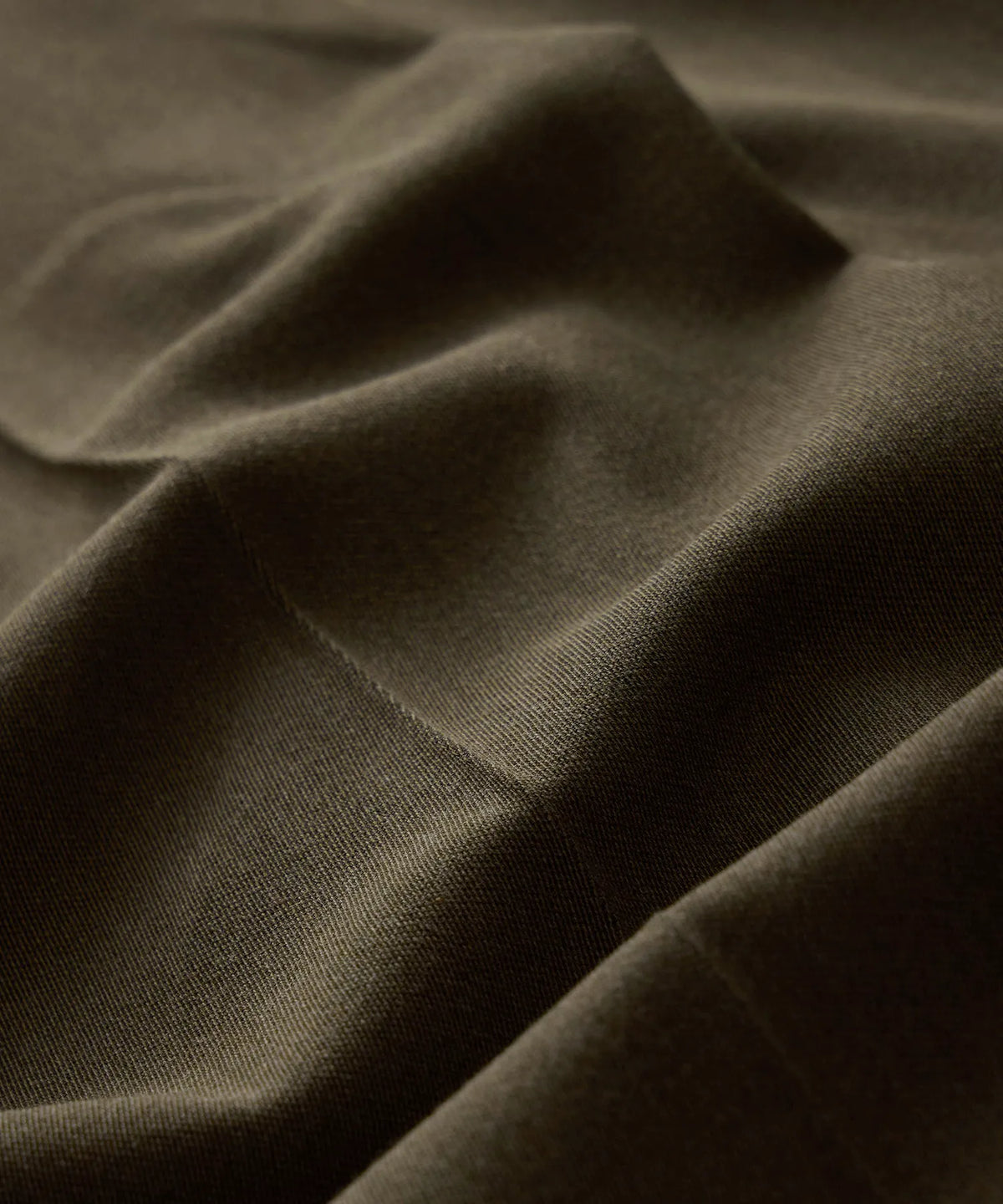 Surplus Olive