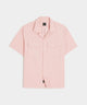 Shell Pink