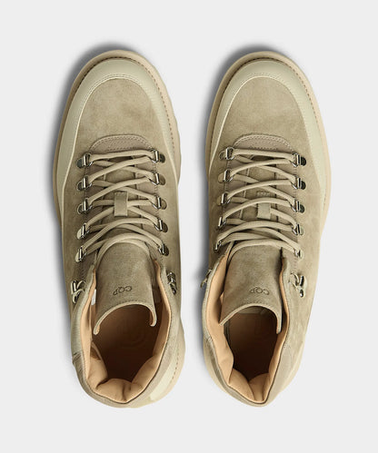 Taupe