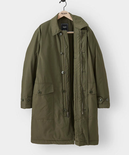 Olive
